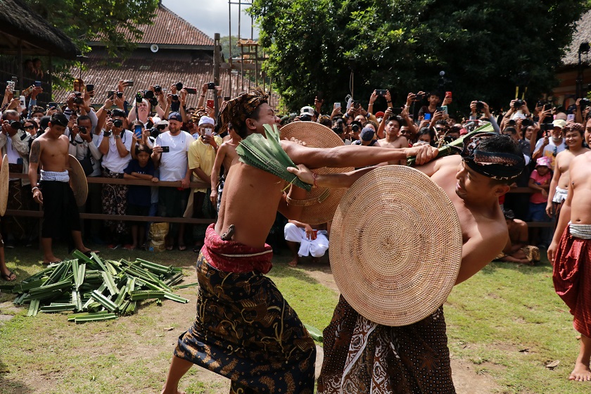 Kuliah di Bali Sambil Healing, Yuk Jelajah Tradisi Perang Pandan (Mekare-kare) di Tenganan