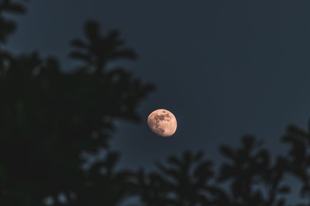 Harvest Moon